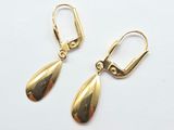 une paire de boucles d'oreilles plaquées or sur fond blanc