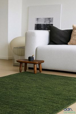a white couch and a green rug in a living room