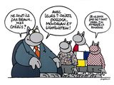 Photo 1/1 du lot