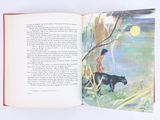 an open book with a picture of a boy and a cow
