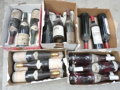 Plusieurs bouteilles de vin se trouvent dans un carton posé par terre.