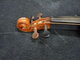 a violin that has been left on the floor