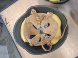 a bowl of bananas and a banana peeler sitting on a table