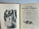 an open book with a drawing of a snake on it