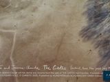 a picture of a horse that is standing in the dirt
