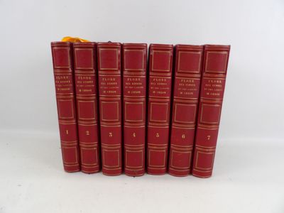 six livres rouges alignés sur une surface blanche