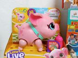 two little live pets on display in a toy store