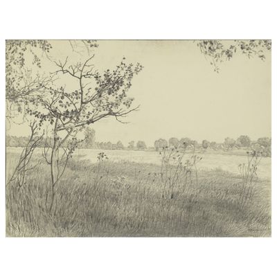 une image représentant un dessin d'un champ avec des arbres en arrière-plan