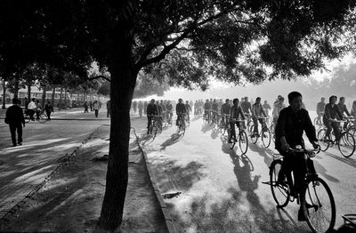 many people riding bikes down the street on a sunny day