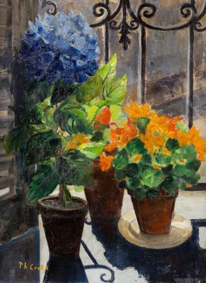 deux pots de fleurs posés sur une table près d'une fenêtre
