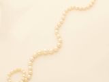 pearl necklace on a white background with a gold clasp