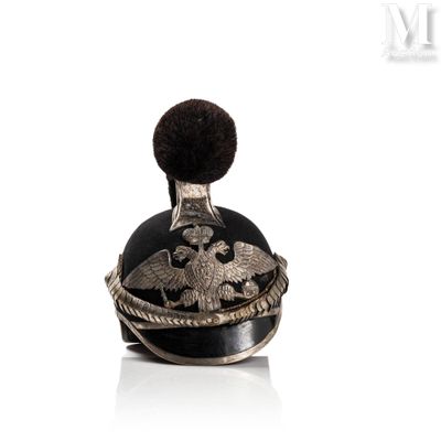an image of a military helmet with a bird on it