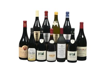 Des bouteilles de vin sont alignées sur un fond blanc