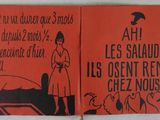 Photo 12/29 du lot
