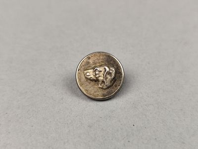 un gros plan d'une pièce de monnaie sur laquelle figure une tête de chien
