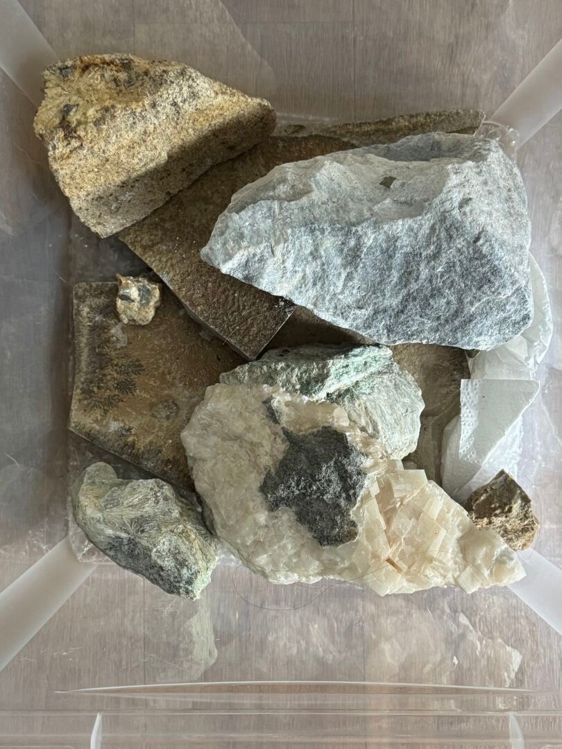 Objets d'art & Curiosités