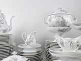 a lot of plates and cups on the table