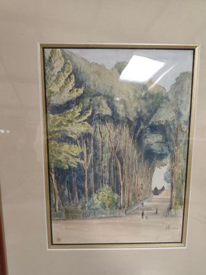 une photo d'une photo représentant une personne marchant dans les bois