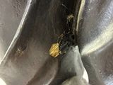 a close up of a statue of a horse with a bug on it