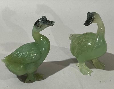 deux canards verts côte à côte sur une surface blanche