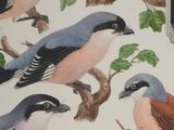 a lot of birds that are sitting on a tree branch