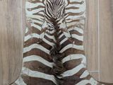 a zebra skin on the floor of a room