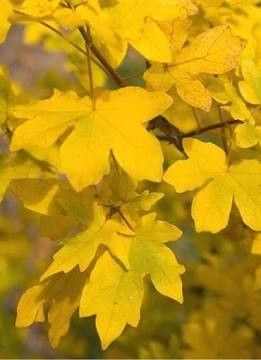 Destockage & Invendus