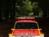 Photo 3/51 du lot