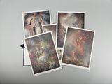 quatre tableaux représentant différents animaux sont exposés sur une surface blanche