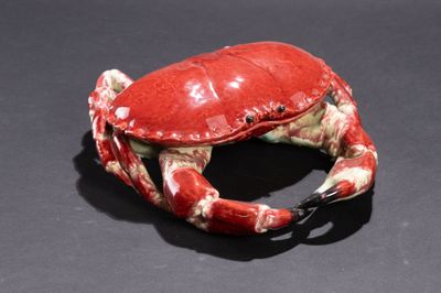 un crabe rouge posé sur une surface noire