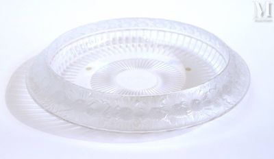 un saladier en verre transparent muni d'un couvercle, posé sur une surface blanche