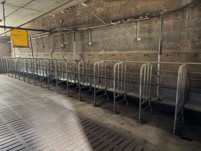 a long row of beds in a building with a yellow sign