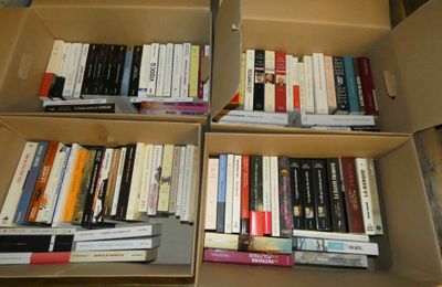 de nombreux livres qui se trouvent dans une boîte posée par terre