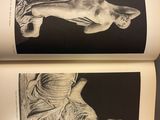 an open book with black and white images of statues on it