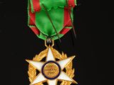 medal of the order of merit of the order of the republic of the republic of the republic of the republic of the republic of the republic of the republic of the