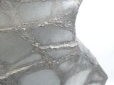une image représentant une sculpture représentant le torse d'une femme recouvert de glace