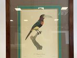 an image of a framed picture of a bird sitting on a branch