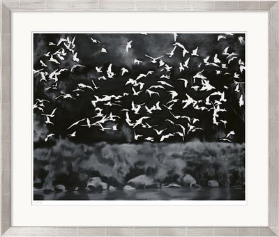 Gerhard Richter « Oiseaux » (1964)