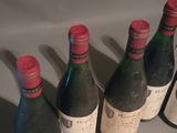 several bottles of wine are lined up on a table