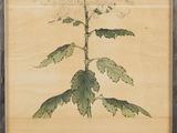 an image of a painting of a flower on a wooden surface