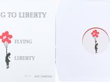 flying to liberty - a flying b liberty