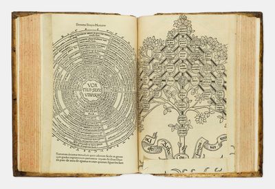 un livre ouvert dans lequel figure le dessin d'un arbre
