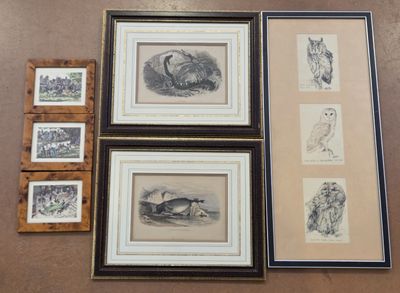 four framed pictures of animals and birds on a table