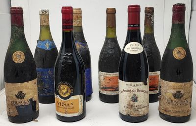 8 bouteilles CÔTES-DU-RHÔNE rouges, (1 Coudoulet de Beaucast…