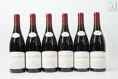 six bouteilles de vin sont alignées sur une surface blanche