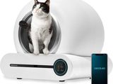 une photo d'un chat assis dans un bac à litière, à côté d'un téléphone portable