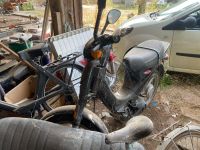 PIAGGIO LIBERTY 125 - Genre : MTL - Carrosserie : SOLO - Ene… (photo 2)