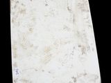 Photo 7/7 du lot