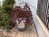 a potted plant sitting on a patio next to a fence