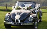 a black vw beetle with white flowers on the hood